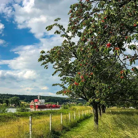 Maison Normande Au Bord De Seine, Le Verger De Pacome Anneville-Ambourville Buitenkant foto