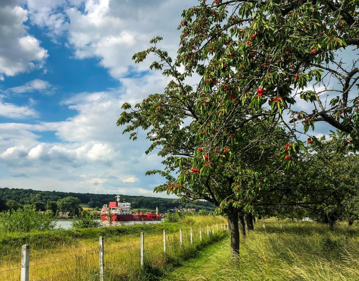 Hébergement de vacances Maison Normande Au Bord De Seine, Le Verger De Pacôme Anneville-Ambourville